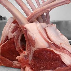 Lamb-Square-1